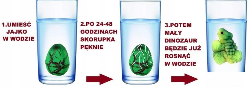 JAJKO DUŻE JAJO WYKLUWAJĄCY SIĘ I ROSNĄCY DINOZAUR